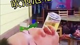 这怎么还学鱼吹泡泡呢