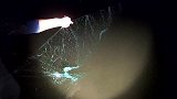龚喜夜间户外收网，嫌弃渔获太少，没想到最后收获满满