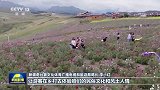 【新思想引领新征程】乡村旅游蓬勃发展 助力乡村全面振兴
