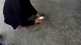 小奶狗被前主人无情抛弃，狗狗被新主人照顾，新主人举动非常有爱