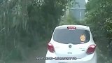 愚蠢娇妻潇洒下车，老公还没来得及上车，太可怕了！