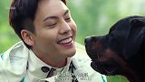 人类忠犬卫士，每次看都控制不住自己的眼泪