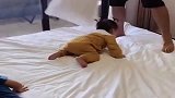 这个爸爸有点皮啊，这样对他的小情人，小胖妞还乐此不疲呀