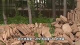 山东地震为何震感传得这么远？专家分析