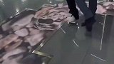 这城里的商场咋还带河呢