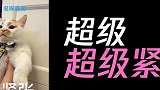 创造营3即将开播，学员提前大曝料：大张伟调侃舞台设计的花瓣