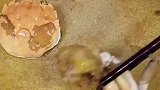 避风塘炒蟹嘎嘎好吃