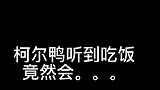 柯尔鸭的饭前仪式感