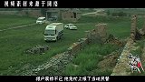 东北一女汉奸，抗战胜利后逃入深山，30年后发现早已病死