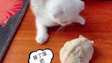 别戳我，再戳我就笑场了
