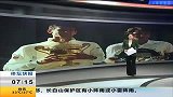 中超-14赛季-友谊赛-中德国际足球挑战赛：广州恒大6比2大胜汉堡-新闻