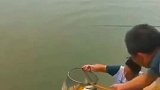 心有鱼而命不足