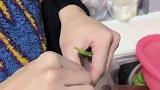 弟弟到家做客反被赶出厨房