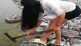 敲石震鱼，有玩过的吗？