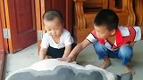 养了只大肥猪，孩子的宠物