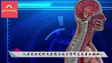 人体冷冻技术？虚假的消息还是有成功的案例，专家揭露真相