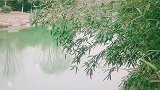 山光悦鸟性潭影空人心，万籁此俱寂但余钟磬音