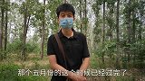 5月份的3份工作收入不到15000，直线下降，到底咋回事？