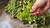 快来教你香椿小技巧，别怪我没提醒，快来学会告诉朋友把