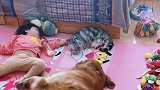 小宝宝睡的好香呀，狗狗和猫咪一直陪伴着她