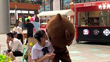 原来这就是我单身二十年没有女朋友的原因？缺一个小熊