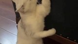 挂住了，好尴尬