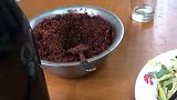 口音蛇汤配上韭菜煎饺，太棒了