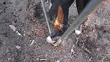 二美：姐姐8点才到家，肉沫酱豆腐，排骨压土豆，这顿真哇塞