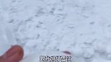 确认完毕，亲妈无疑