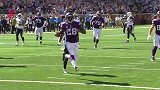 NFL-1516赛季-明尼苏达维京人跑锋佩特森赛季十佳球-专题