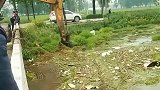 本以为挖掘机把杂草挖出去，没想到又扔进河里，这算是污染环境吗