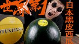 2000块的日本北海道黑皮月亮西瓜，会比普通的西瓜更好吃吗？