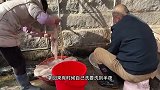 福建晋江羊肚汤｜藏在村里没有招牌的小店