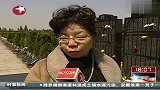 热点-上海海葬服务受青睐