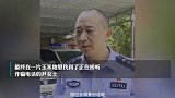 四川女子躲玉米地接听诈骗电话，民警翻越3座山阻止转账