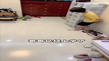 看他到底想干嘛