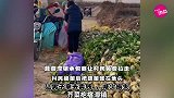 蔬菜滞销，承包商让村民免费拉走