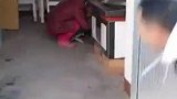最近表现不好，吃块肉真心不容易啊！
