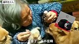 不在花果山好好待着，非得去攀岩，我看你能搞出什么名堂