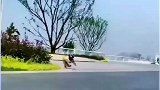 懂事的小狗，救了一个婴儿车
