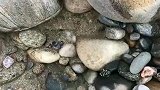 来玉龙河边上玩，远远的就看到了这块玉石