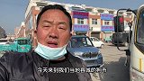83天的爆毛博美，这个月份很难遇，亮哥不徘徊直接抓