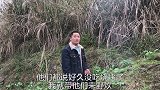 天气好适合野炊，烤香肠烤红薯烤土豆，农村兄弟回味小时候的快乐