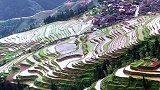 贵州一个建在“田埂上的村子”，种田是他们主要的收入来源！