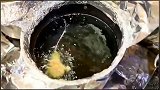 高级店级别食材：斑节虾，星鳗，鱚鱼，目鲬综合海鲜天丼