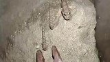 老虎钳抓上岸乘凉鱼，只要手够慢，一定能抓住它