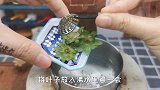 龙吟草莓800元一颗？我用1元成本，耗费12个小时做出来了