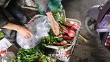 厨房哥今天来到蔬菜批发市场，四面八方的菜农都往这里来赶集