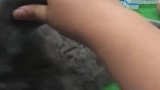 猫：你不给我小鱼干，我就不让你打麻将！