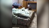 租客租房半年后“失联”！房间内留下满屋狗屎和垃圾，臭气熏天